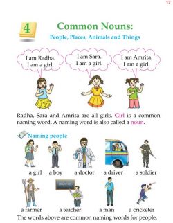 1st Grade Grammar Common Nouns (1).jpg